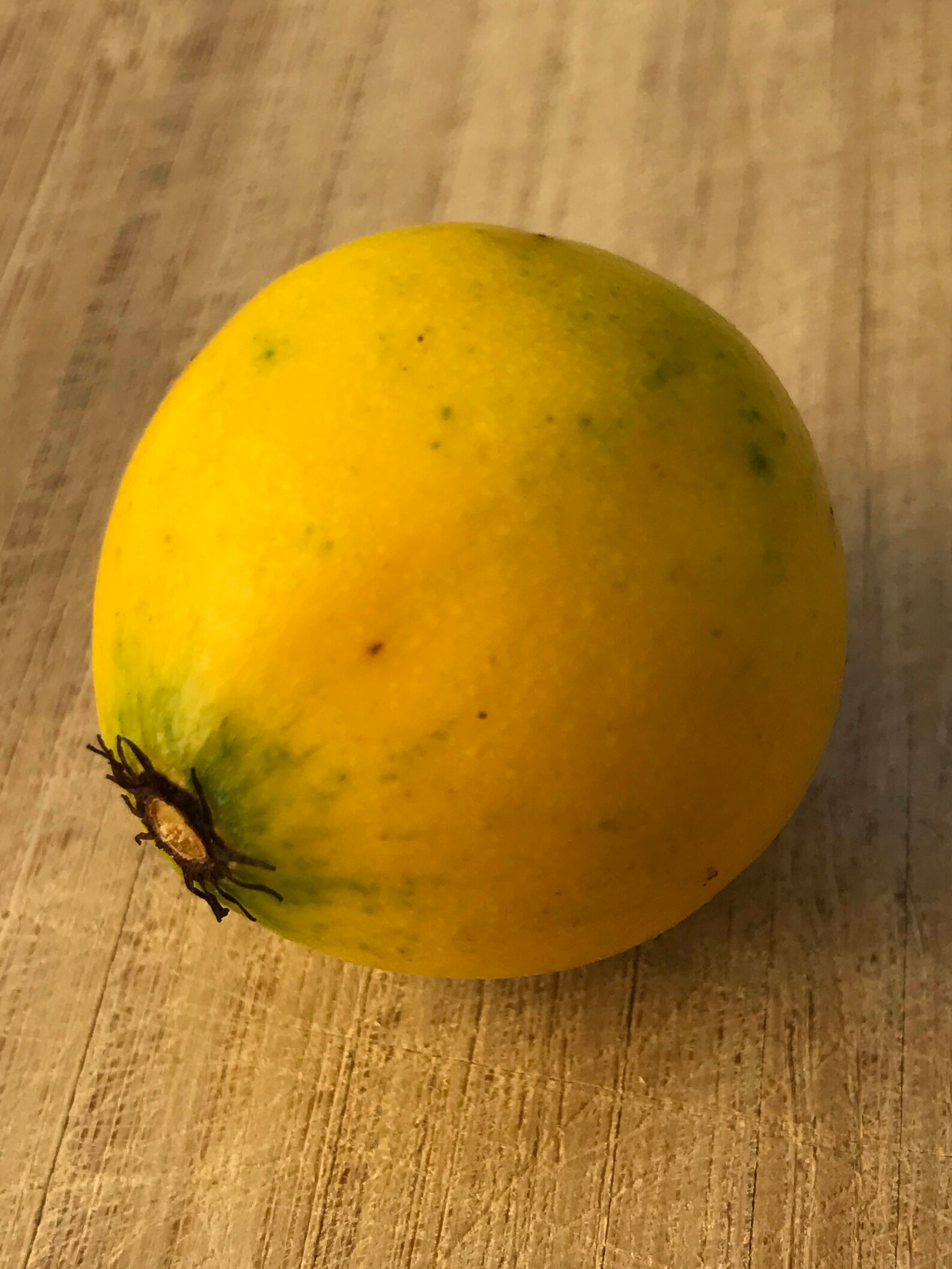 Lemon Drop Mangosteen Garcinia Intermedia Yellow Tropical Etsy UK