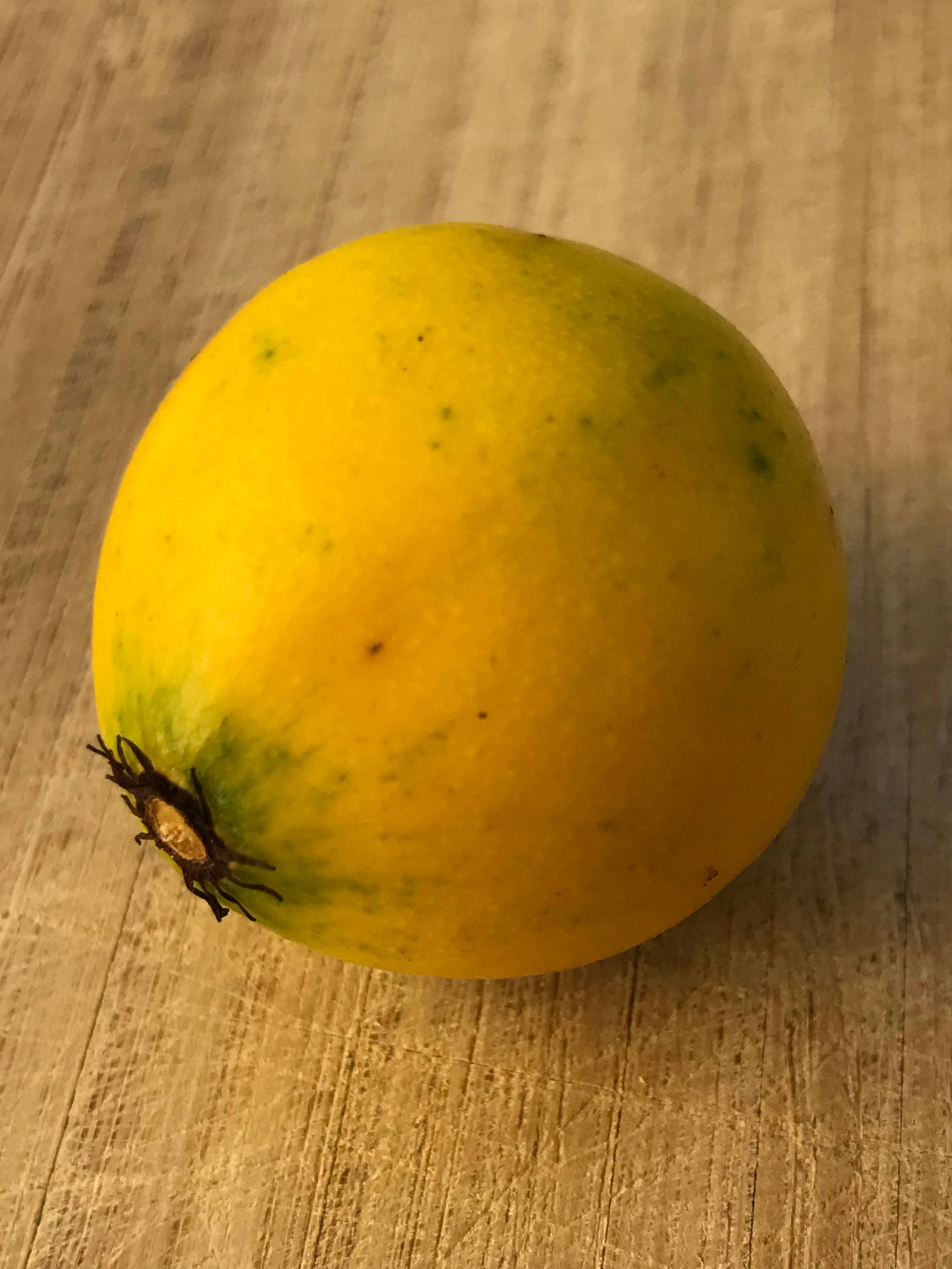 Lemon Drop Mangosteen Garcinia Intermedia Yellow Tropical Etsy