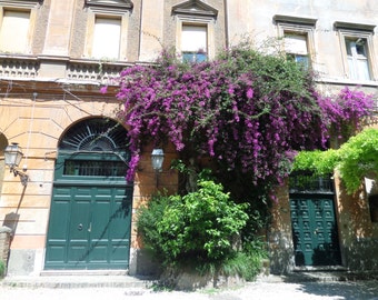 Rome scene, via Margutta, purple decor, Rome print, Rome art, Roman architecture, Photography gift, Purple flowers, Travel, Italy gift