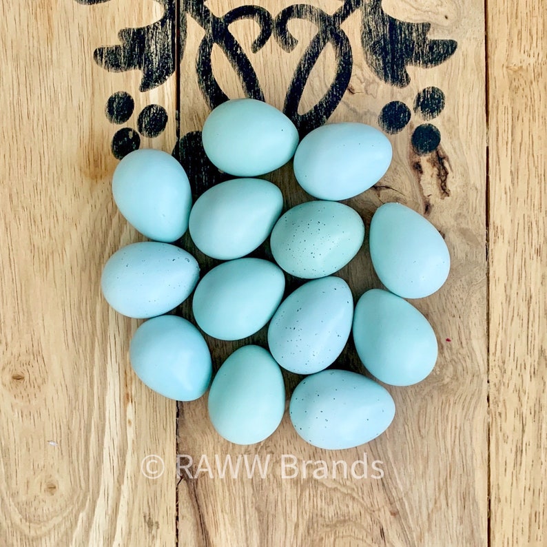 Celadon Coturnix Quail Eggs 1 Dozen Handblown NPIP & AI | Etsy