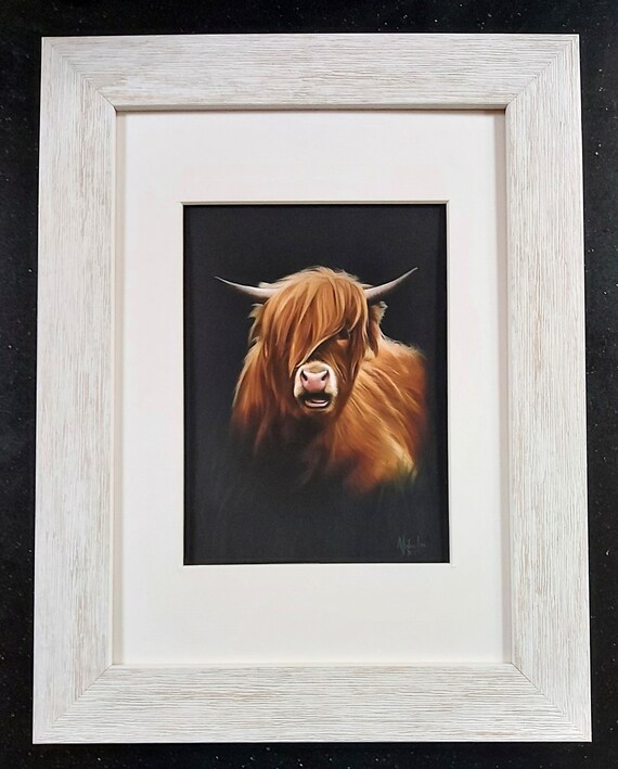 Framed Print of Highland Cow in White Distressed Wooden Frame Etsy