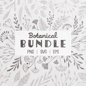 90 botanische SVG PNG EPS-bundel | Bloemen-svg | Bloem-svg | Botanische clipart | Bloemenclipart