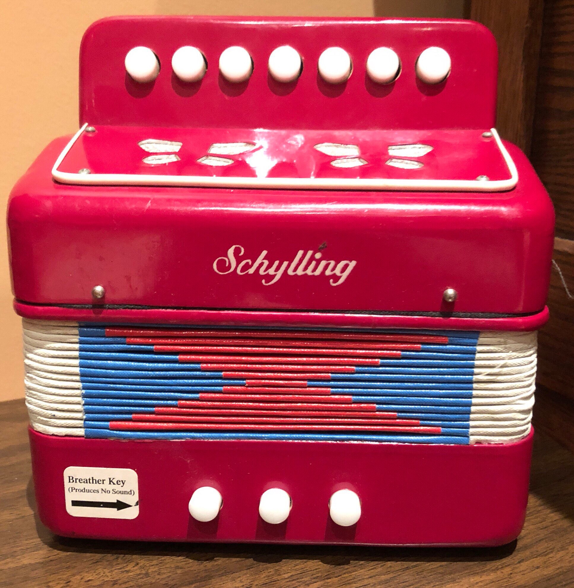 schylling toy accordion