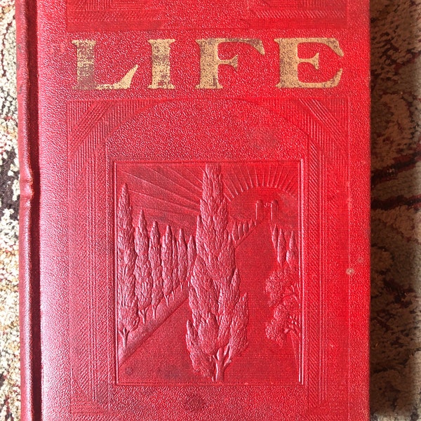 LIFE J F Rutherford 1929