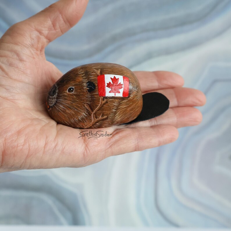 Beaver Painted Rock With a Canadian Flag, Canada Stone Animal Patriotic ...
