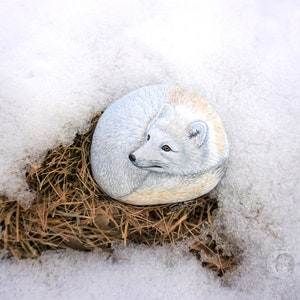 White Fox In Rocks White Fox Stone, Arctic Fox, Painted Rock, Hand-painted Rock Art, Snow ...