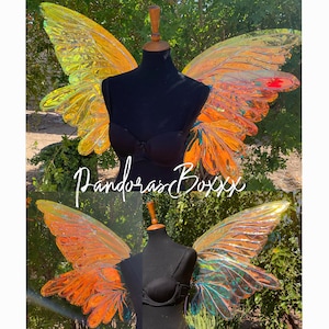 Garden Fairy Large Wings - Iridescent wings - Adult Fairy Wings - Quick Ship - Halloween Costume - Cosplay Accessory