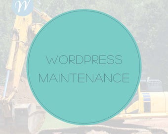 Wordpress Maintenance, Wordpress Help, Website Maintenance, Website Update, Wordpress Support, Hourly Package for Wordpress
