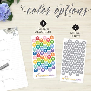 May include: Two sticker sheets with floral designs, labeled "Rainbow Assortment" and "Neutral (Gray)". The rainbow stickers feature a variety of colors, while the gray stickers have a monochromatic design. The text "color options" is at the top.