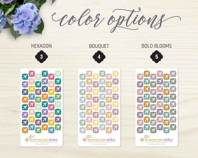 May include: Three sticker sheets with airplane designs in various colour palettes: Hexagon, Bouquet, and Bold Blooms. The text "color options" is written in cursive. Each sheet has a different colour scheme, including blue, green, orange, and purple. Stickers are from Shooting Star Stickers.