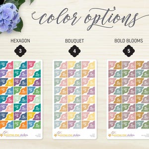 May include: Three sticker sheets with different color options: Hexagon, Bouquet, and Bold Blooms. Each sheet features a grid of stickers with a repeating design. The text "color options" is written in cursive. The stickers are from Shooting Star Stickers.
