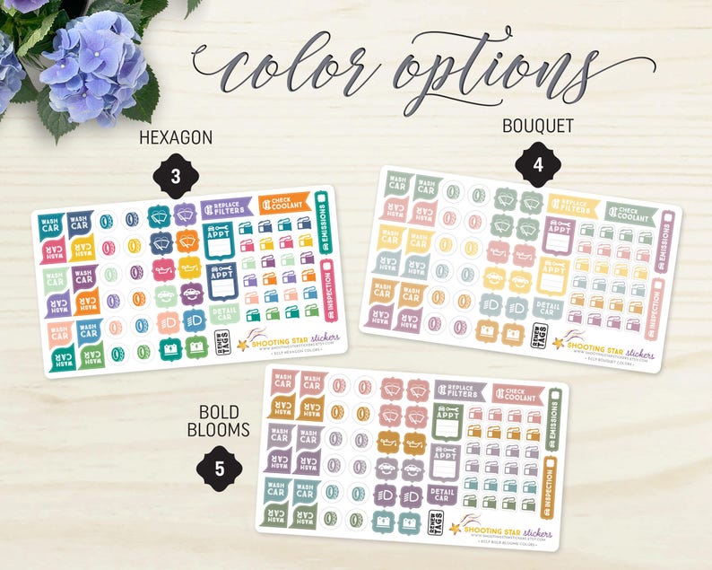 K&ouml;nnte beinhalten: Drei Stickerb&ouml;gen mit Symbolen und Texten zum Thema Auto, beschriftet mit "HEXAGON", "BOUQUET" und "BOLD BLOOMS". Jedes Blatt zeigt verschiedene Farben und Formen, darunter Quadrate, Kreise und Banner. Der Text "color options" ist oben in Schreibschrift geschrieben.
