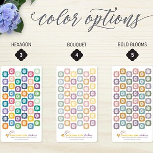 May include: Three sticker sheets with different color options: Hexagon, Bouquet, and Bold Blooms. Each sheet features a pattern of colorful, framed letter "O" designs. The text "color options" is written in cursive at the top. The brand name "SHOOTING STAR stickers" is at the bottom.
