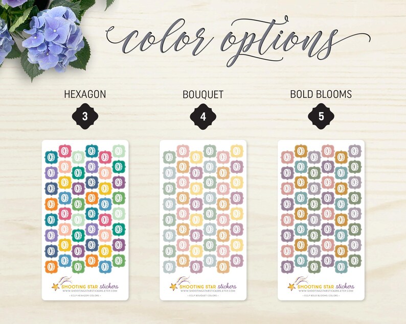 May include: Three sticker sheets with different color options: Hexagon, Bouquet, and Bold Blooms. Each sheet features a pattern of colorful, framed letter "O" designs. The text "color options" is written in cursive at the top. The brand name "SHOOTING STAR stickers" is at the bottom.