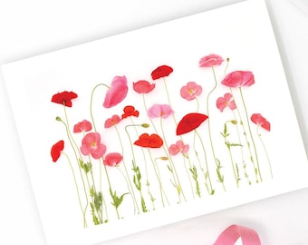 Pink Poppies Greeting Card Set of 5