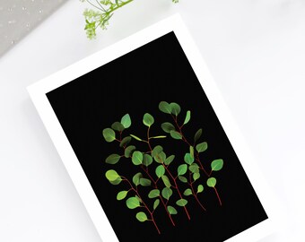Eucalyptus Leaves Greeting Card Set of 5