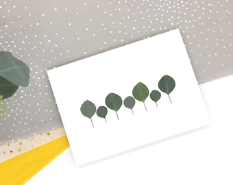 Eucalyptus Greeting Card Set of 5