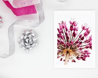 Allium Greeting Card Set of 5