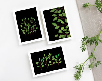 Eucalyptus Greeting Card Set of 6