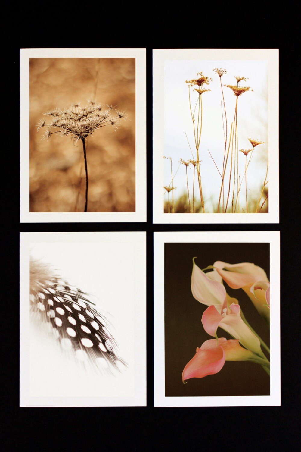 Photo Greeting Card Set of 8 Etsy