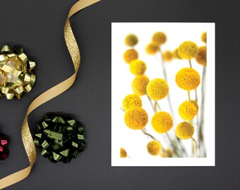 Billy Buttons Greeting Card Set of 5