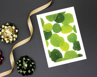 Nasturtium Greeting Card Set of 5