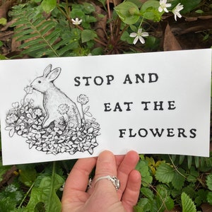 Stop and eat the flowers white rabbit, bunny bumper sticker