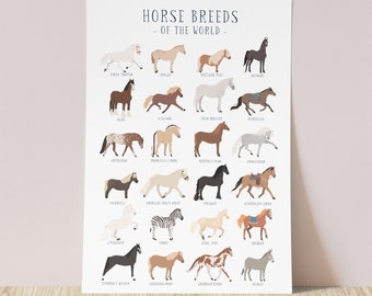 Horse breeds of the world print | pony breeds horse art print | horse gifts for pony lover | A4 or A3 print | girls room decor | vet gifts