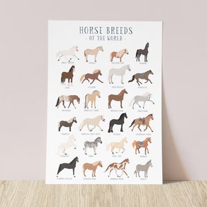 Horse breeds of the world print pony breeds horse art print horse gifts for pony lover A4 or A3 print girls room decor vet gifts image 1