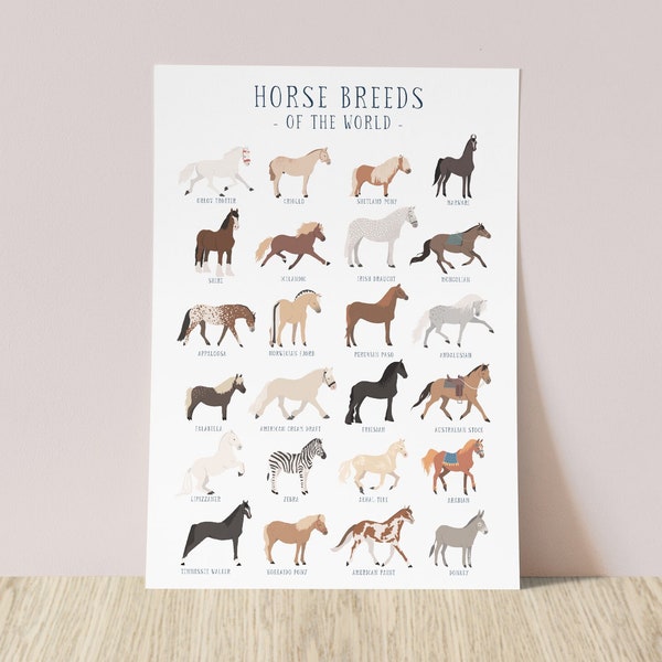 Horse breeds of the world print | pony breeds horse art print | horse gifts for pony lover | A4 or A3 print | girls room decor | vet gifts