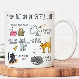 Crazy Cat Lady Etsy