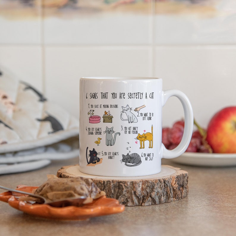 Six signs that you are secretly a cat crazy cat lady mug cat mug gifts for cat lovers Cat Lover Gift Mug mg2aa image 6