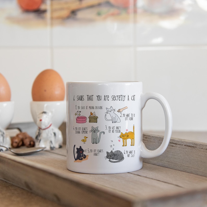 Six signs that you are secretly a cat crazy cat lady mug cat mug gifts for cat lovers Cat Lover Gift Mug mg2aa image 7