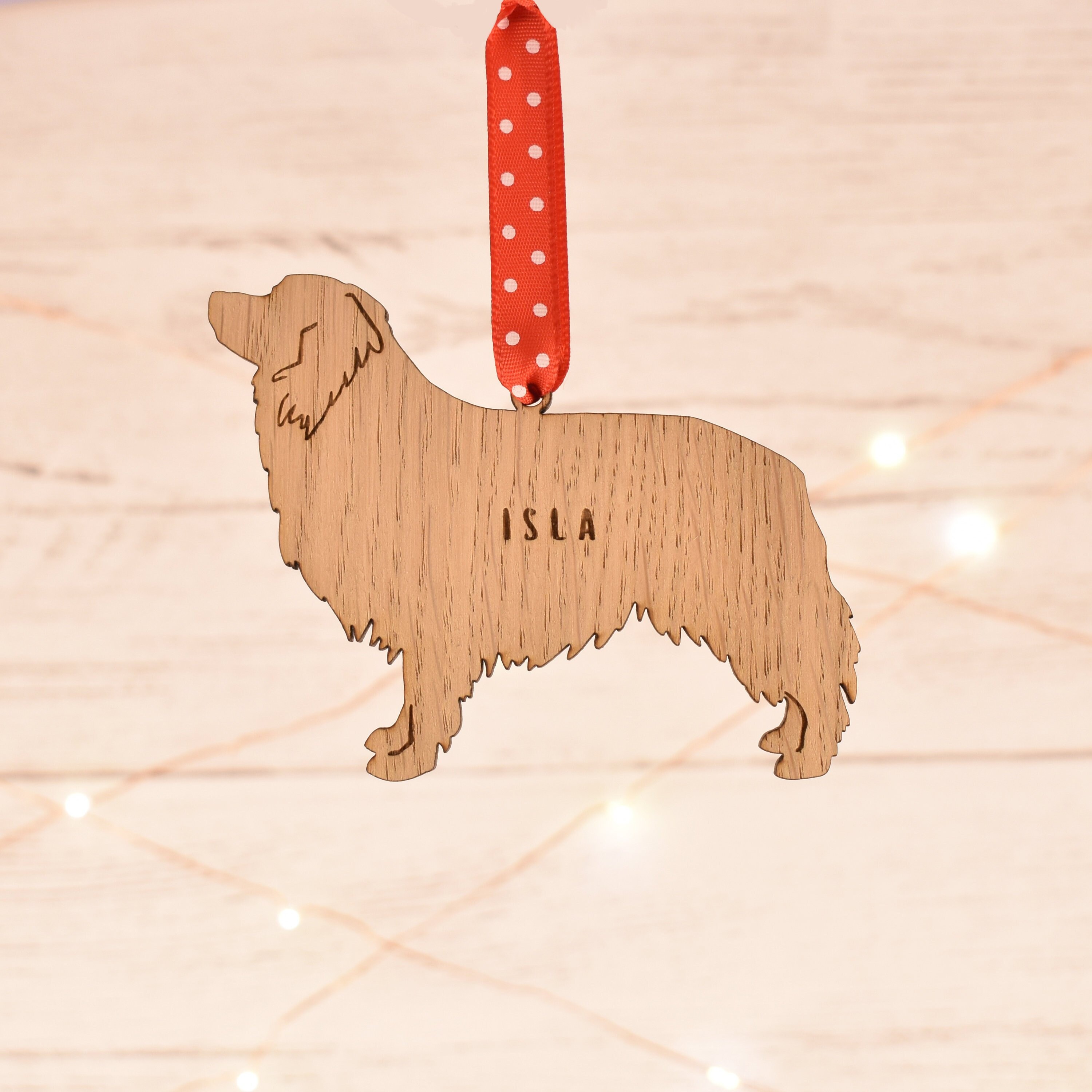 border collie presents