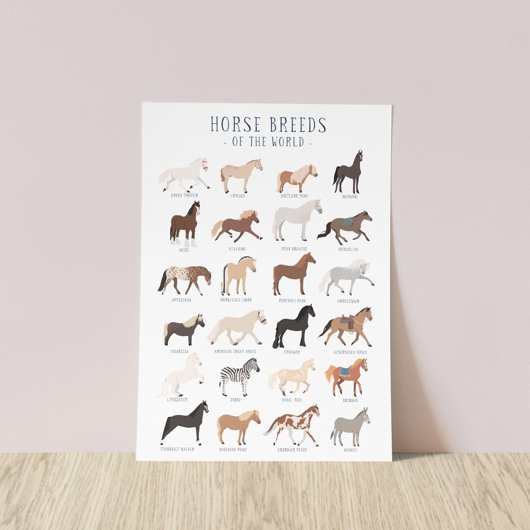Horse Breeds of the World Print | Pony Breeds Horse Art Print | Horse ...