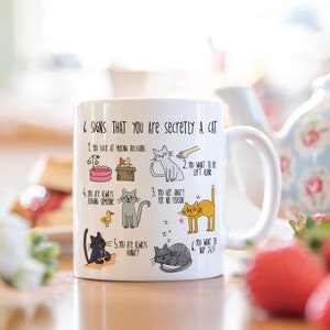 Six signs that you are secretly a cat crazy cat lady mug cat mug gifts for cat lovers Cat Lover Gift Mug mg2aa image 5