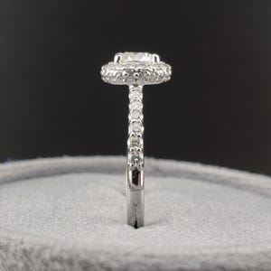 May include: A silver ring with a round center stone surrounded by a halo of smaller stones. The band is also set with smaller stones.