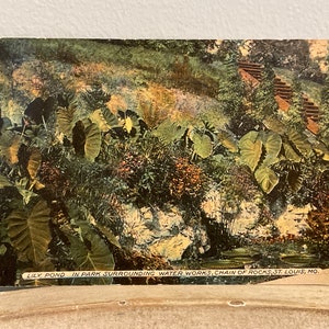 May include: A vintage postcard depicting a lily pond in a park surrounding water works. The pond is surrounded by lush greenery and a stone staircase leads up a hill.