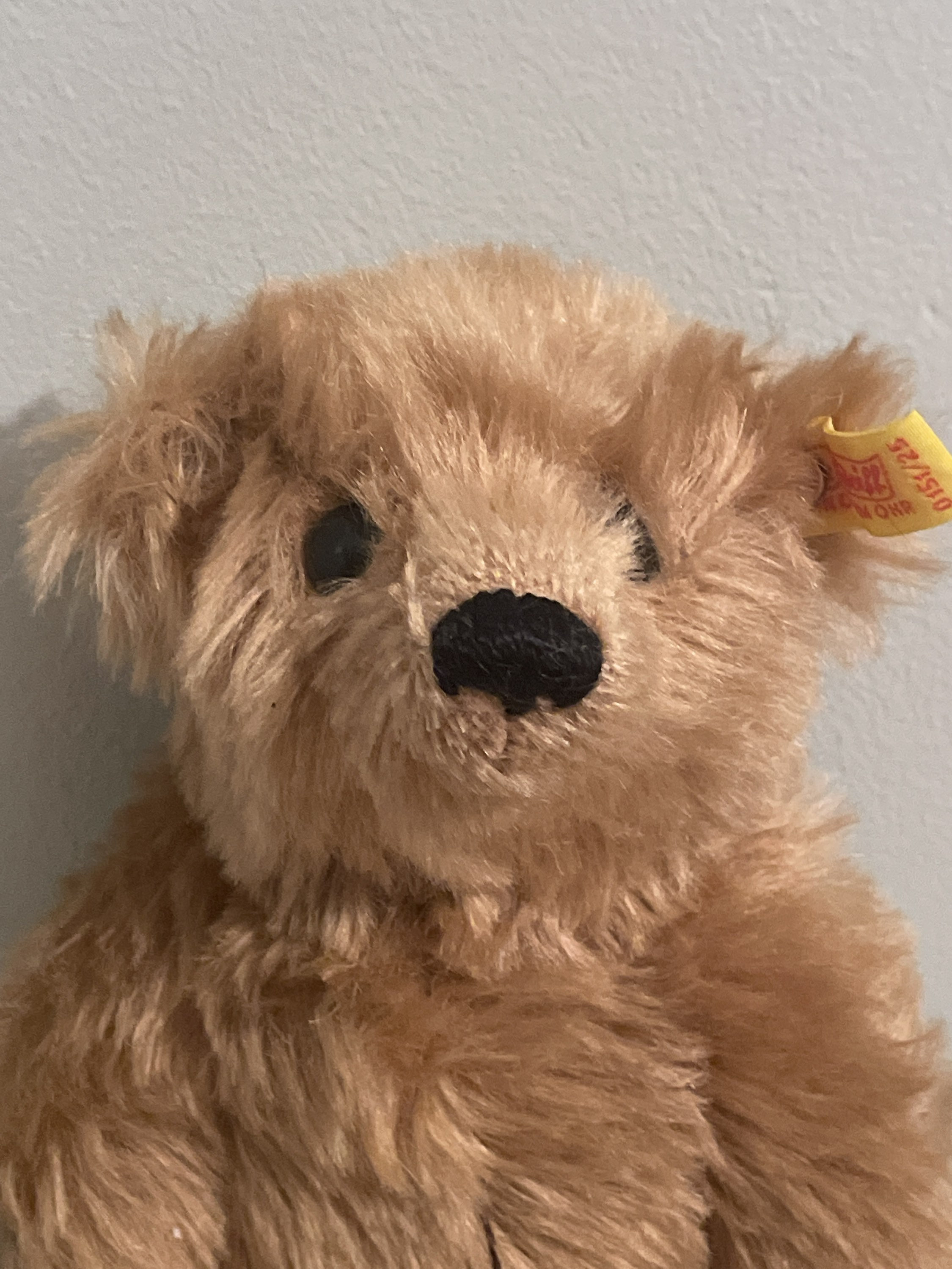 Vintage Steiff Mr. Cinnamon ~ 0151 25 ~ 10 Inch Bear - Etsy 日本