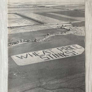 Vintage Life Magazine Page ~ Wheat Price Stinks ~ Black and White Photo