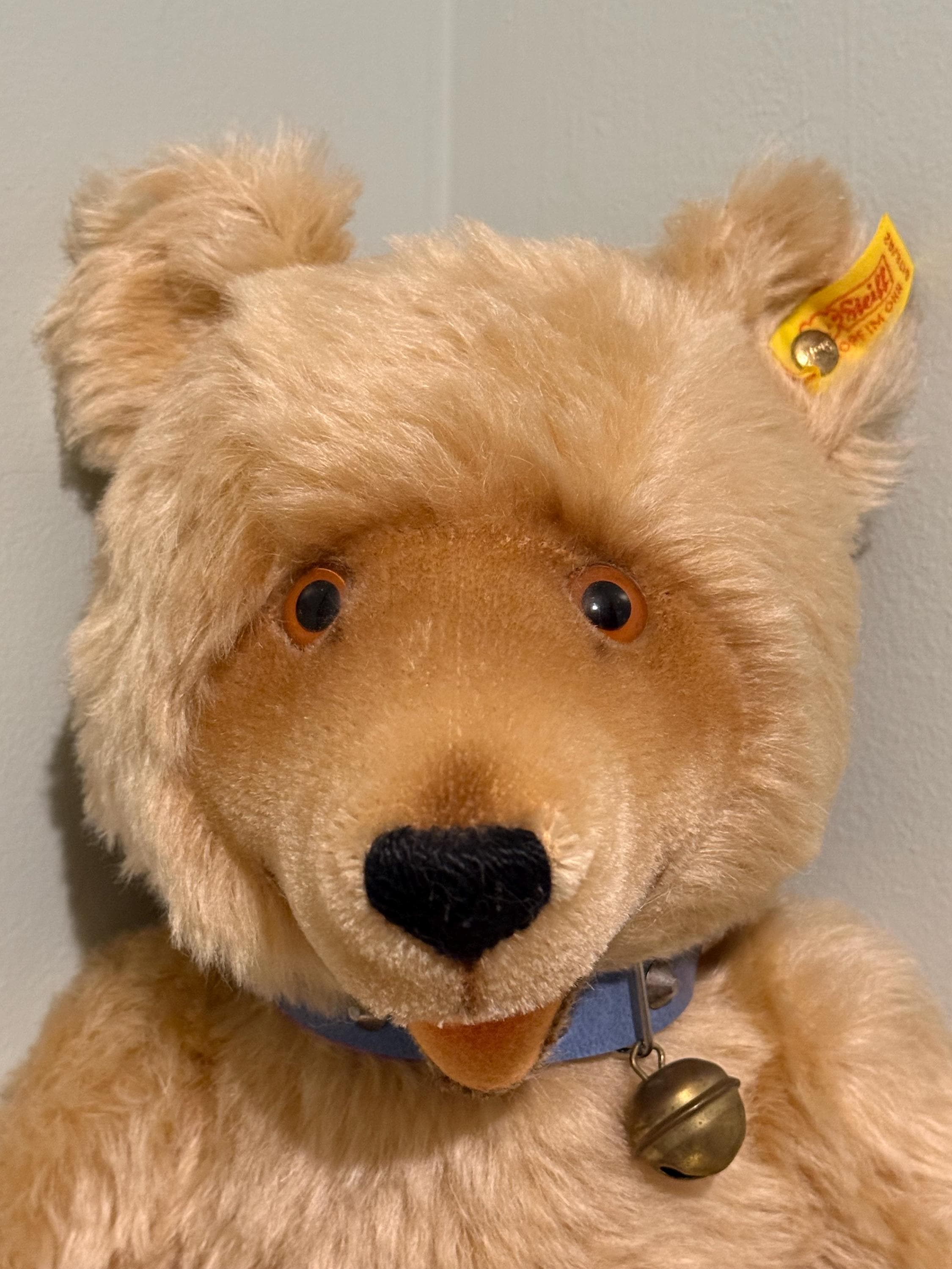 Vintage Steiff Teddy Baby ~ 0176/42 - Etsy