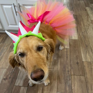 Dinosaur Dog Tutu and Headband/ Pet Tutu/ Pet Costume