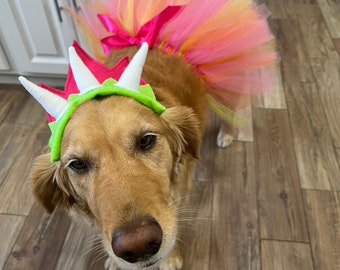 Dinosaur Dog Tutu and Headband/ Pet Tutu/ Pet Costume
