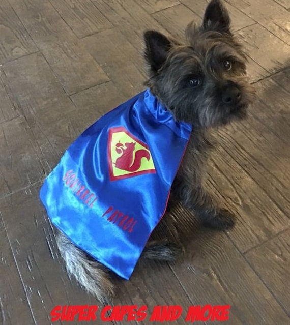 Dog Superhero Cape Puppy Superhero Cape Dog Cape Puppy Cape Superhero Cape for Dogs Super Dog Cape Dog Costume Puppy Costume