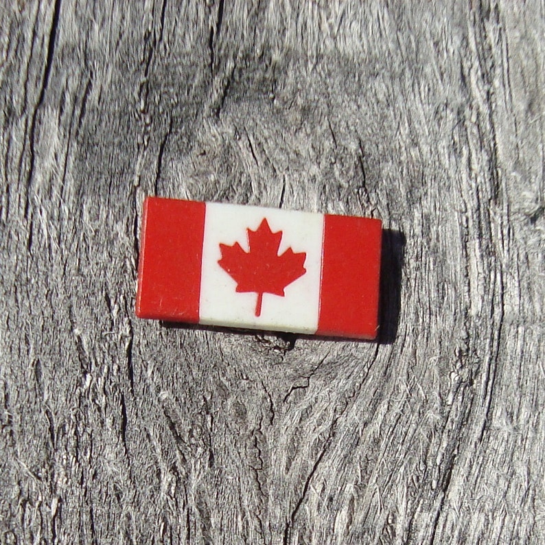 Bluenose 1979 Vintage Souvenir Pin Collector Pin Canadian History Canada 150 Nova Scotia Canadiana Sailing Tall Ships