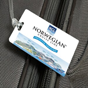 norwegian cruise baggage suitcase