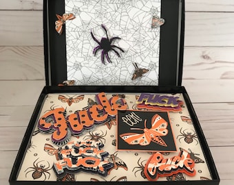 Box of F*cks, shadow box, collage, mixed media, greeting card