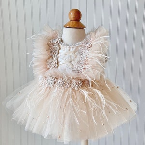 Feather Dress, Birthday Dress, Baby Girl Tutu, Ivory Dress, Tutu Dress, Sophie Dress, Bloomers