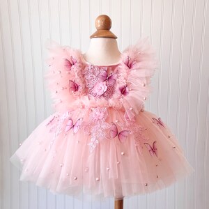 Aubrey Butterfly and Flower Dress, Blush Dress, Baby Dress, First Birthday Dress, Flower Dress, Blush and Pink Dress image 2