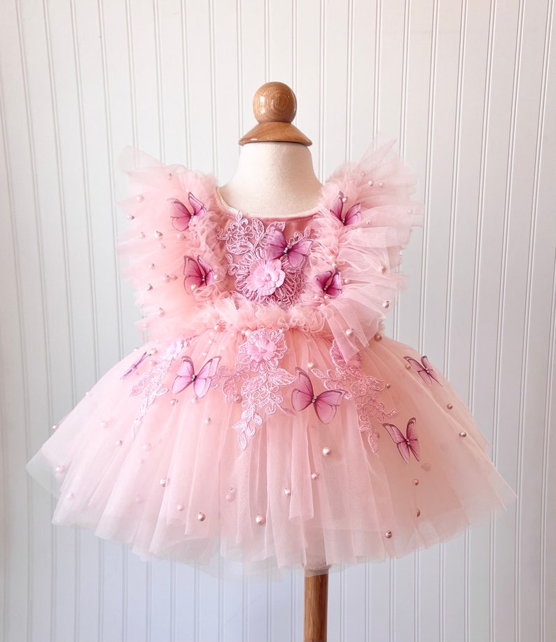 Aubrey Butterfly and Flower Dress, Blush Dress, Baby Dress, First Birthday Dress, Flower Dress, Blush and Pink Dress image 2